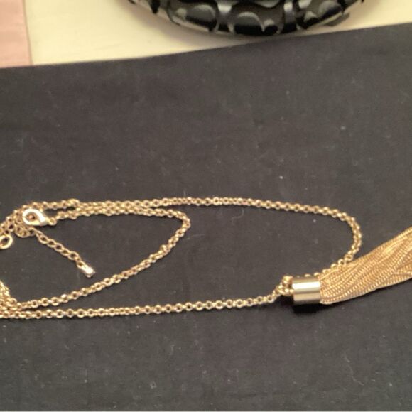 Goldtone Adjustable Link and Tassel Necklace - Picture 3 of 4